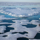 Image for article titled What the Hell is happening to the Arctic Sea Ice?